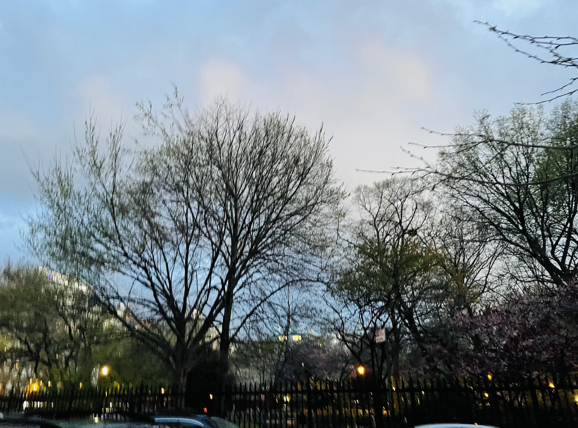 Gallery image 15