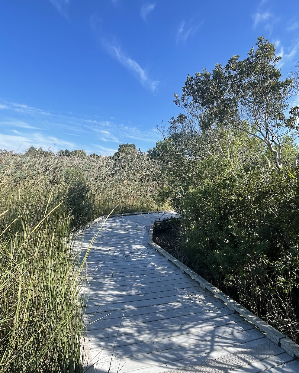 Gallery image 16