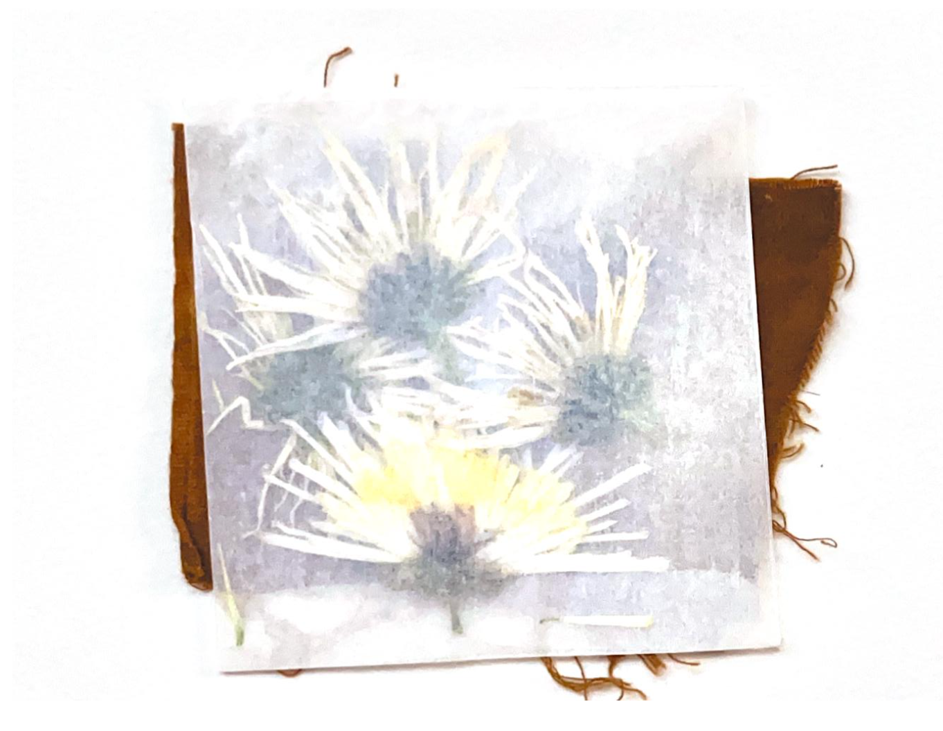 Second Screen of the User Interface