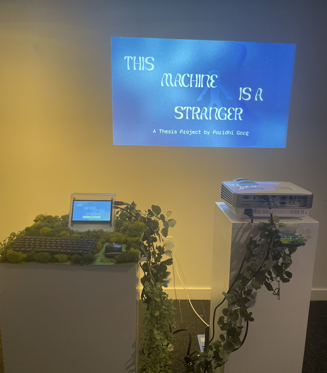 Project installation at Mosaic Parsons DT 2025