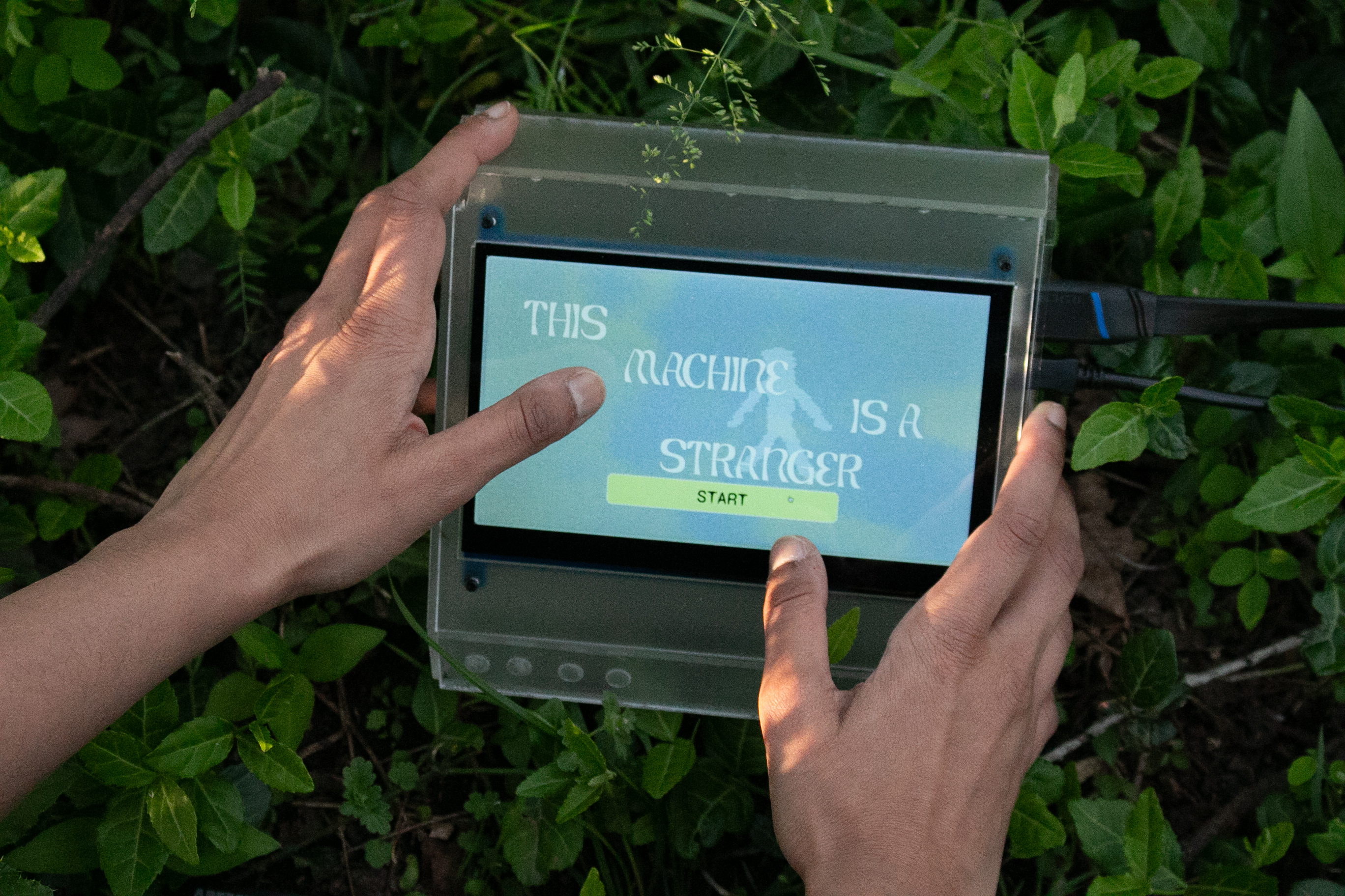 Interacting with Gizmo-1305