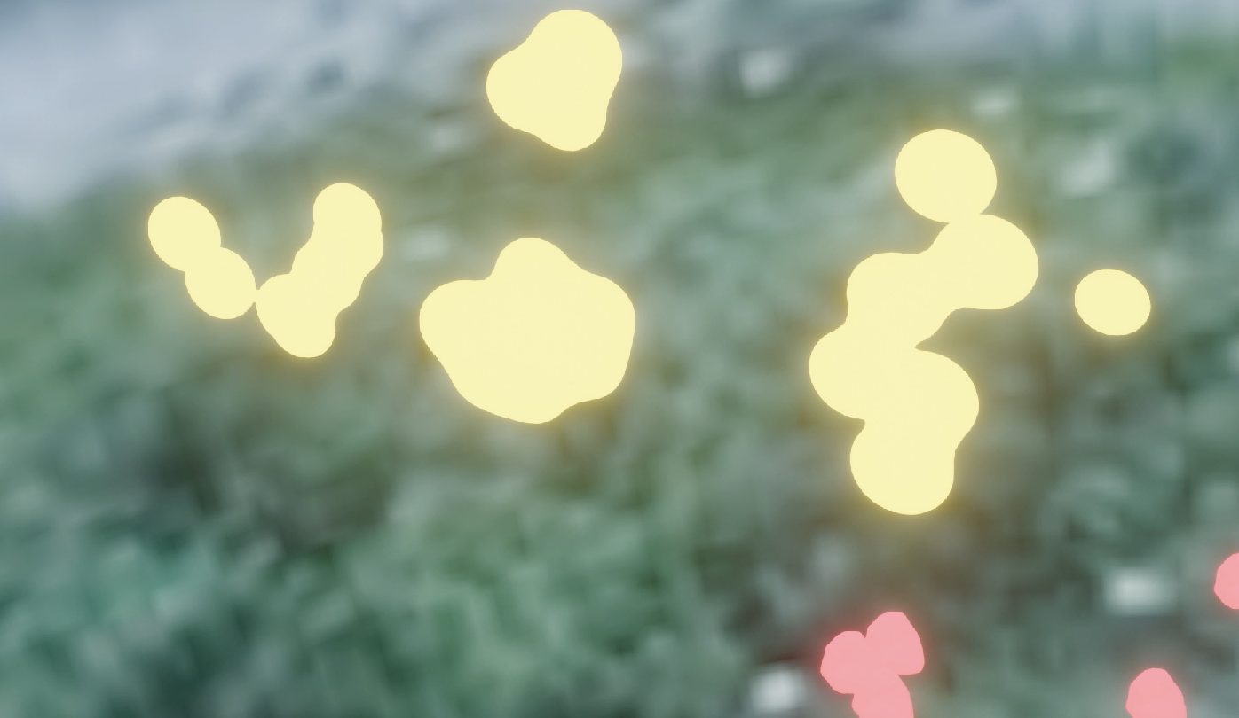 Light emitted by fireflies